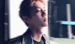 鹿晗娱乐吃瓜,幕后故事与精彩瞬间