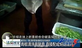 卧底爆料视频完整版,视频完整版揭露黑幕内幕